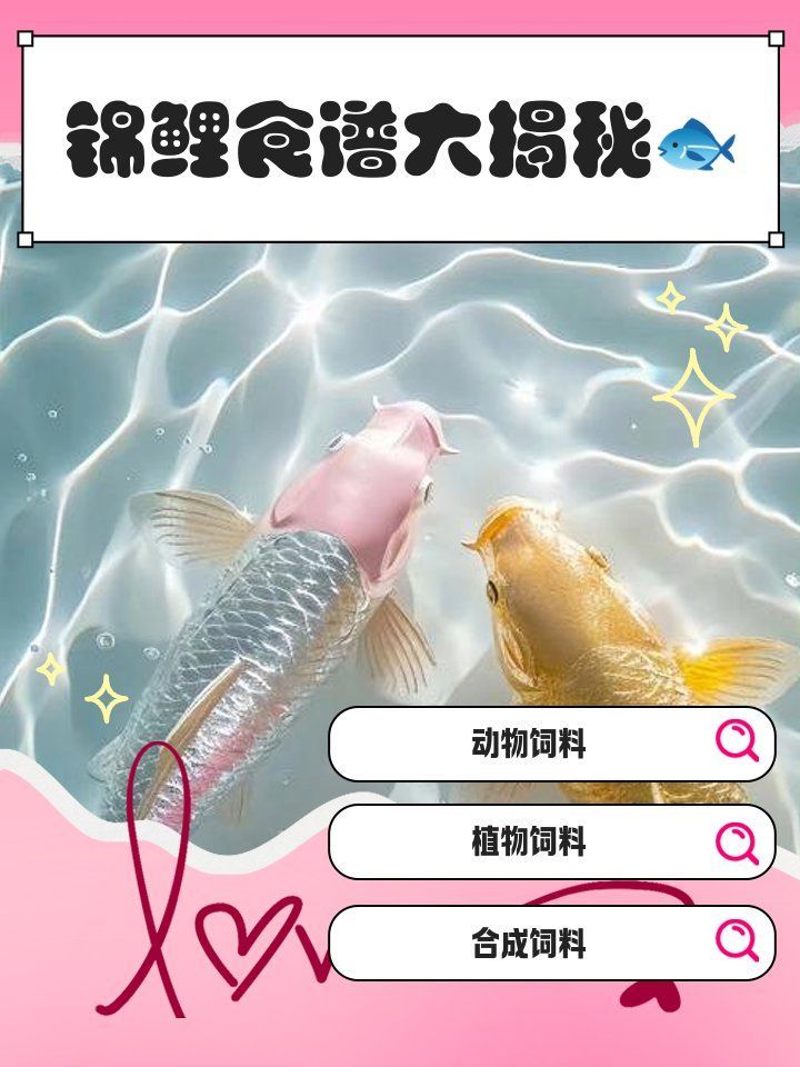 能否提供龍魚和錦鯉的飼養(yǎng)食譜，龍魚和錦鯉的喂養(yǎng)方式