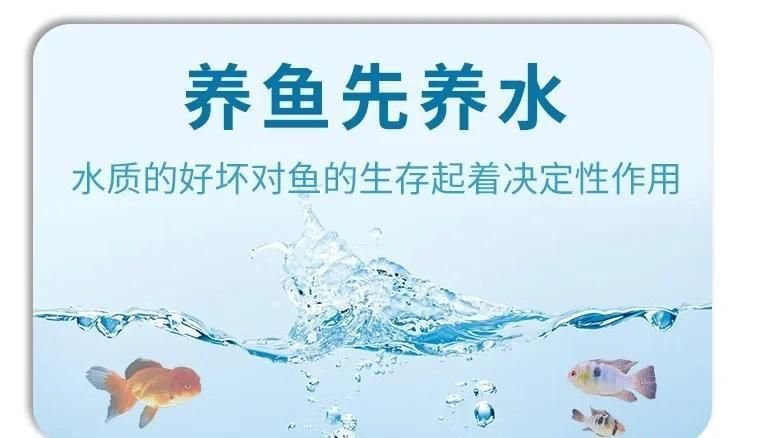養(yǎng)紅龍需要哪些專業(yè)設備，養(yǎng)殖紅龍魚需要注意哪些問題