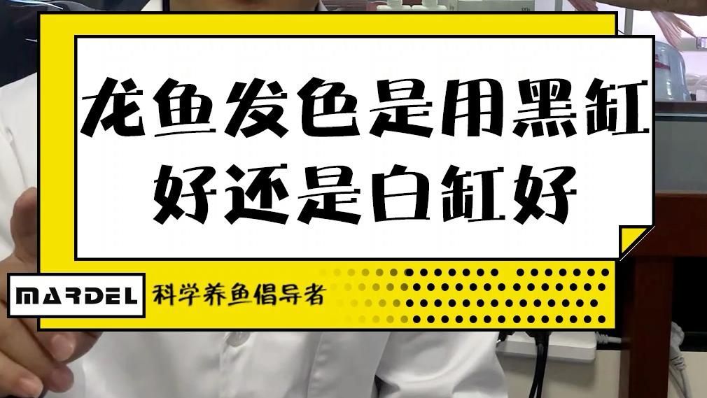 紅龍?jiān)鯓硬虐l(fā)色好，紅龍魚發(fā)色影響因素 紅龍?jiān)鯓硬虐l(fā)色好，紅龍魚發(fā)色影響因素 龍魚百科 第1張