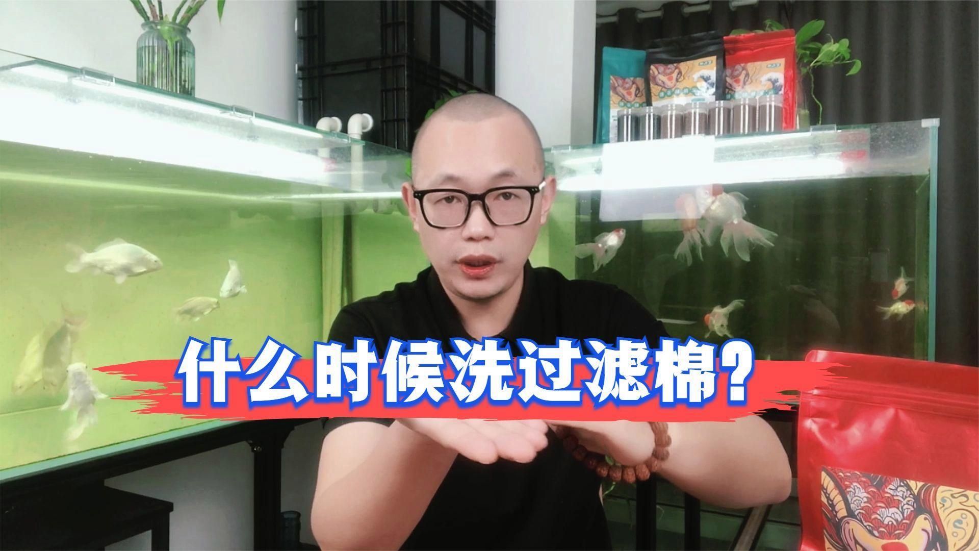 如何判斷魚缸是否需要清洗，arxiv論文助手