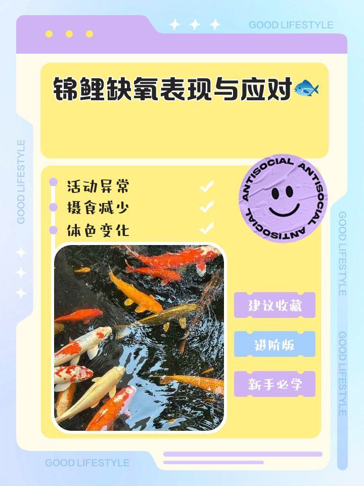 如何判斷魚是否真的缺氧，arxiv論文arxiv論文助手判斷魚是否真的缺氧