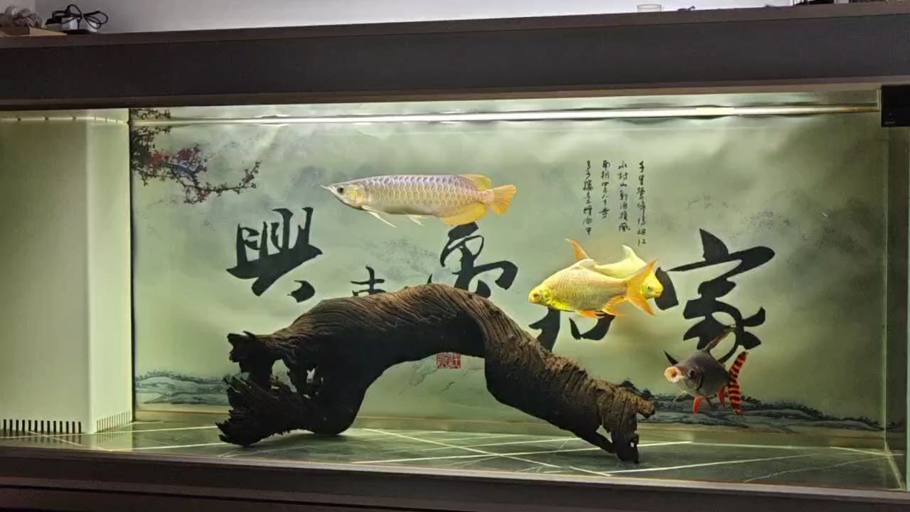 詳細閱讀:記錄一下,——未來城市設計新趨勢 記錄一下,——未來城市設計新趨勢