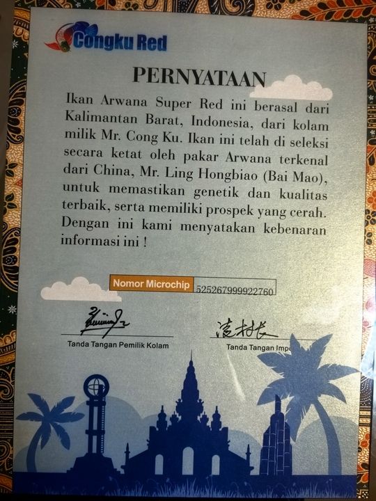 玩的就是興趣，個人興趣在日常生活和職業發展中的重要性