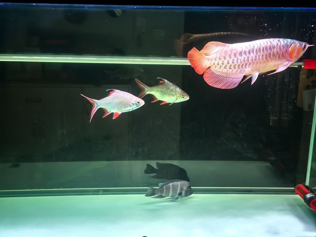 玩的就是興趣，個人興趣在日常生活和職業發展中的重要性