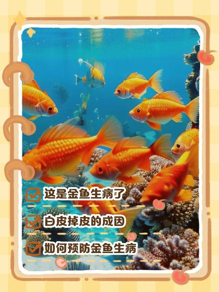 如何判斷魚破皮是否嚴重，魚破皮嚴重怎么辦