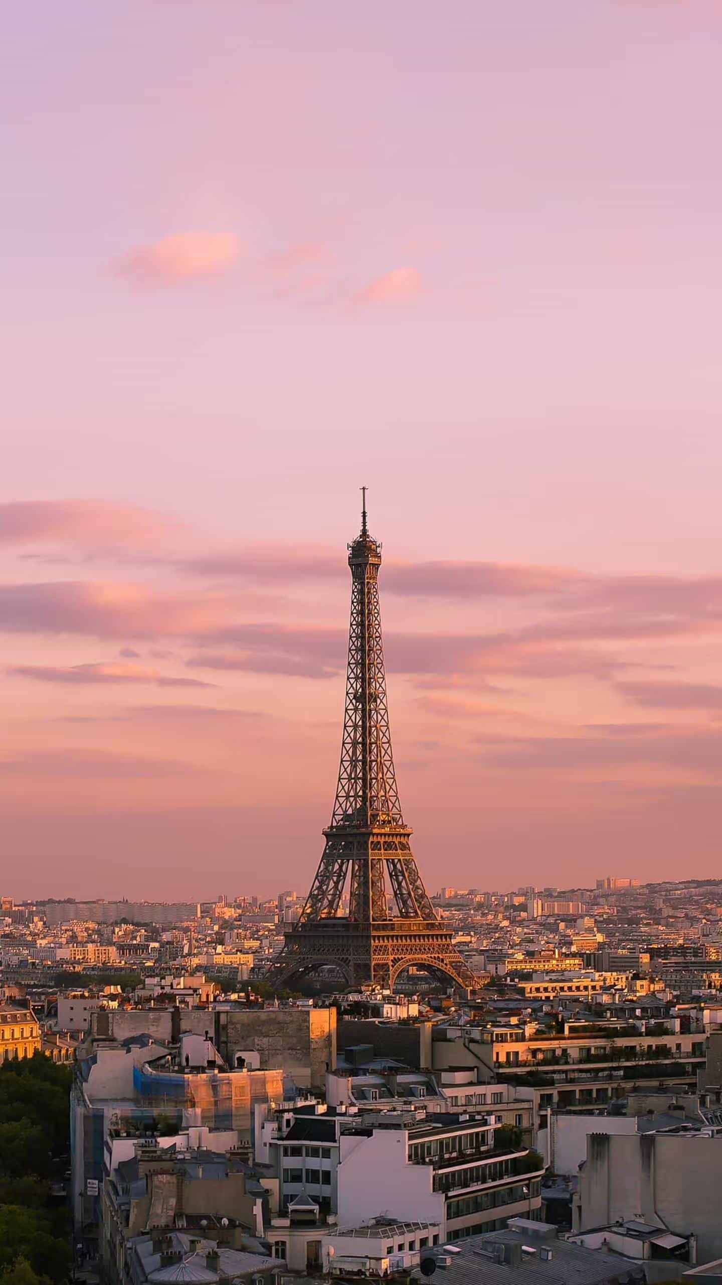 ，探索未來城市：智能交通系統與可持續發展