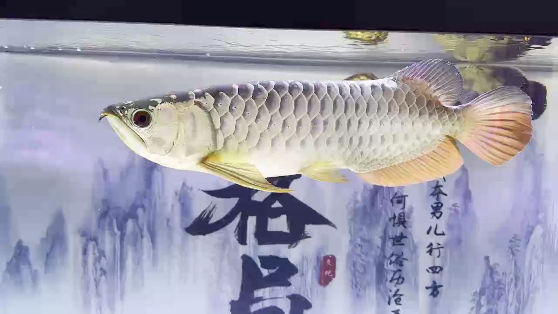 慢慢長吧，“慢慢長吧，本文探討了“慢慢長”這一概念并分析了其在不同領域中的應用