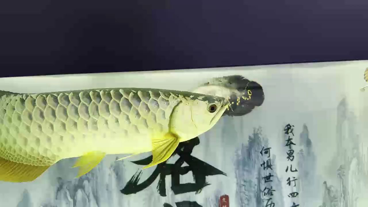 ，探索智能交通系統的設計與挑戰