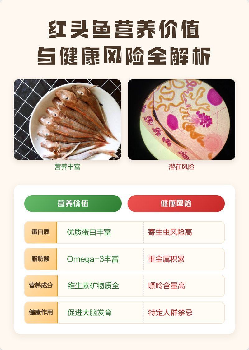 紅頭魚的營養價值有哪些，紅頭魚一天吃多少合適哪些人群不適合食用紅頭魚