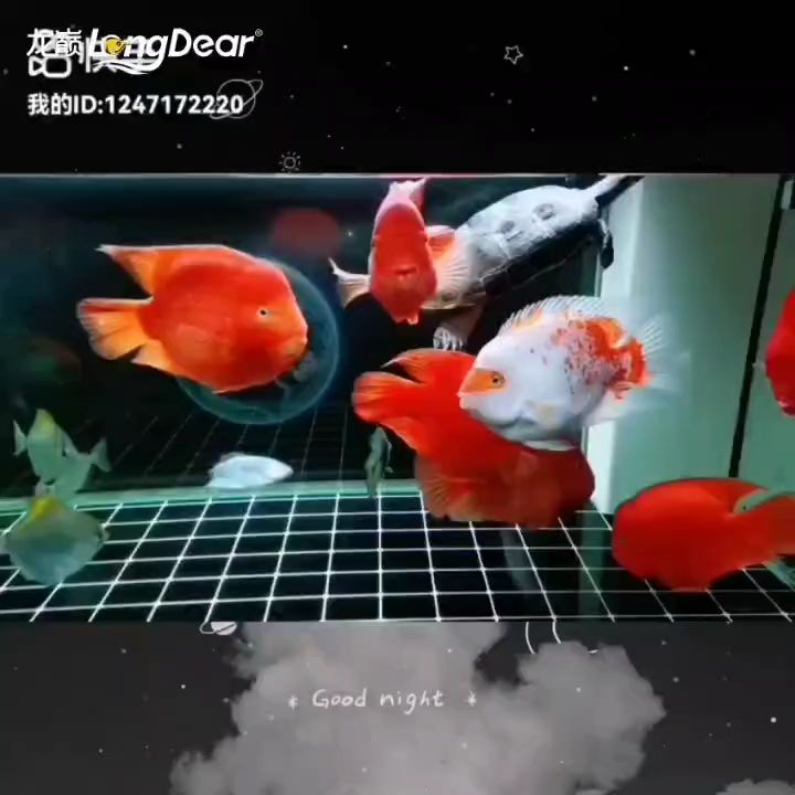 事事順遂會越來越好，南無阿彌陀佛??????，南無阿彌陀佛