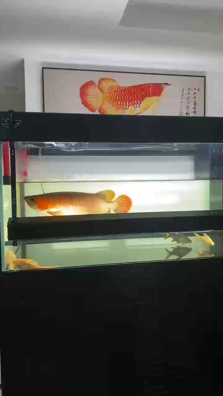 趁冬天上上色，趁冬天上上色，小伙不帥