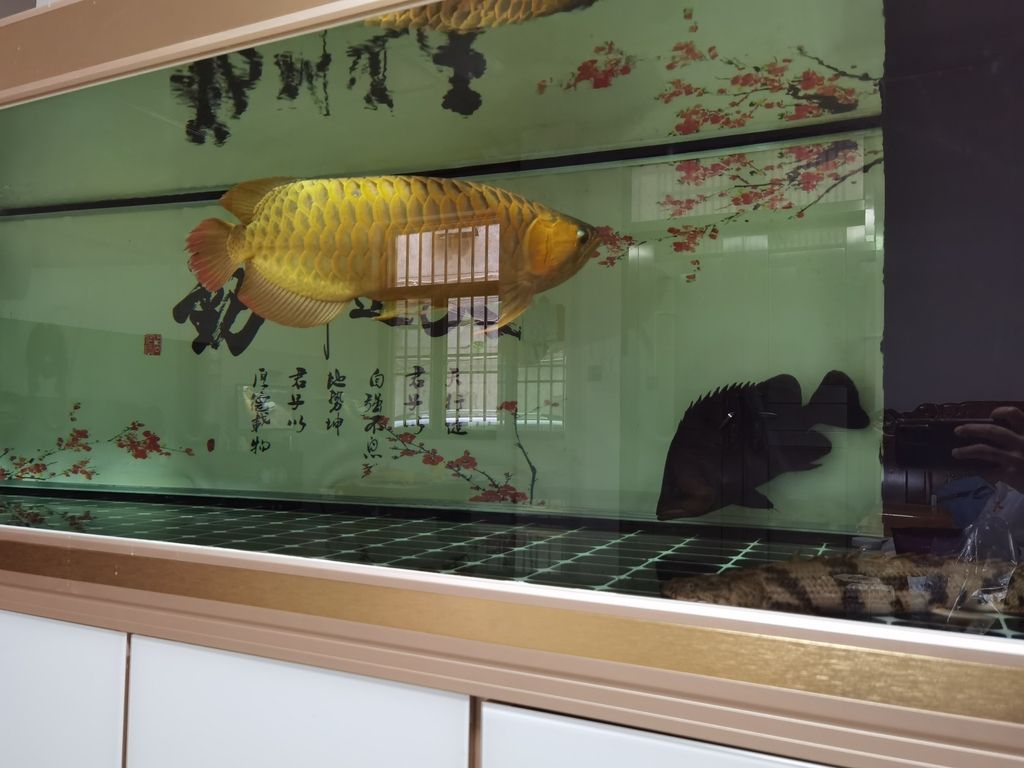 ，探索未來城市：智能交通系統與可持續發展的融合