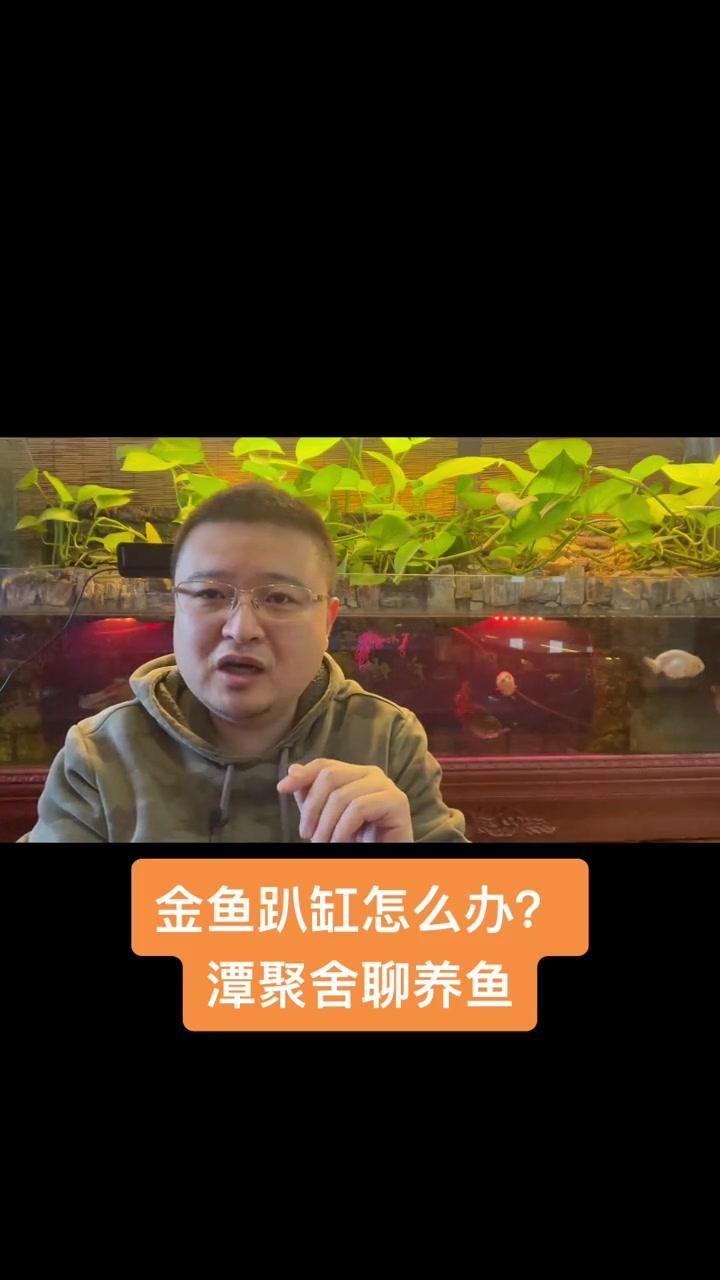 金魚趴缸底解決方法，解決金魚趴缸底的方法