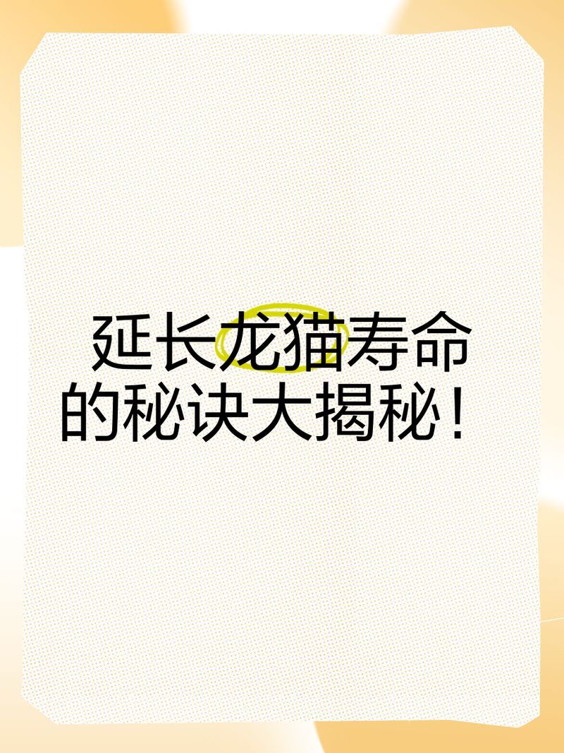 如何延長龍貓的壽命，如何有效地延長龍貓的壽命