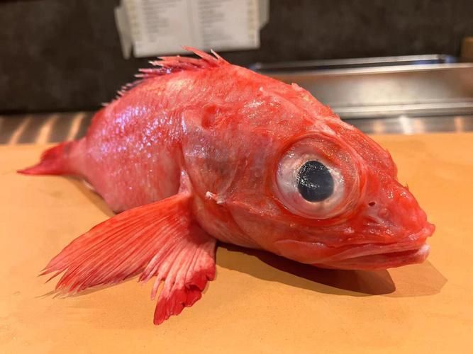 請提供日本十大名魚的詳細圖解，日本十大名魚