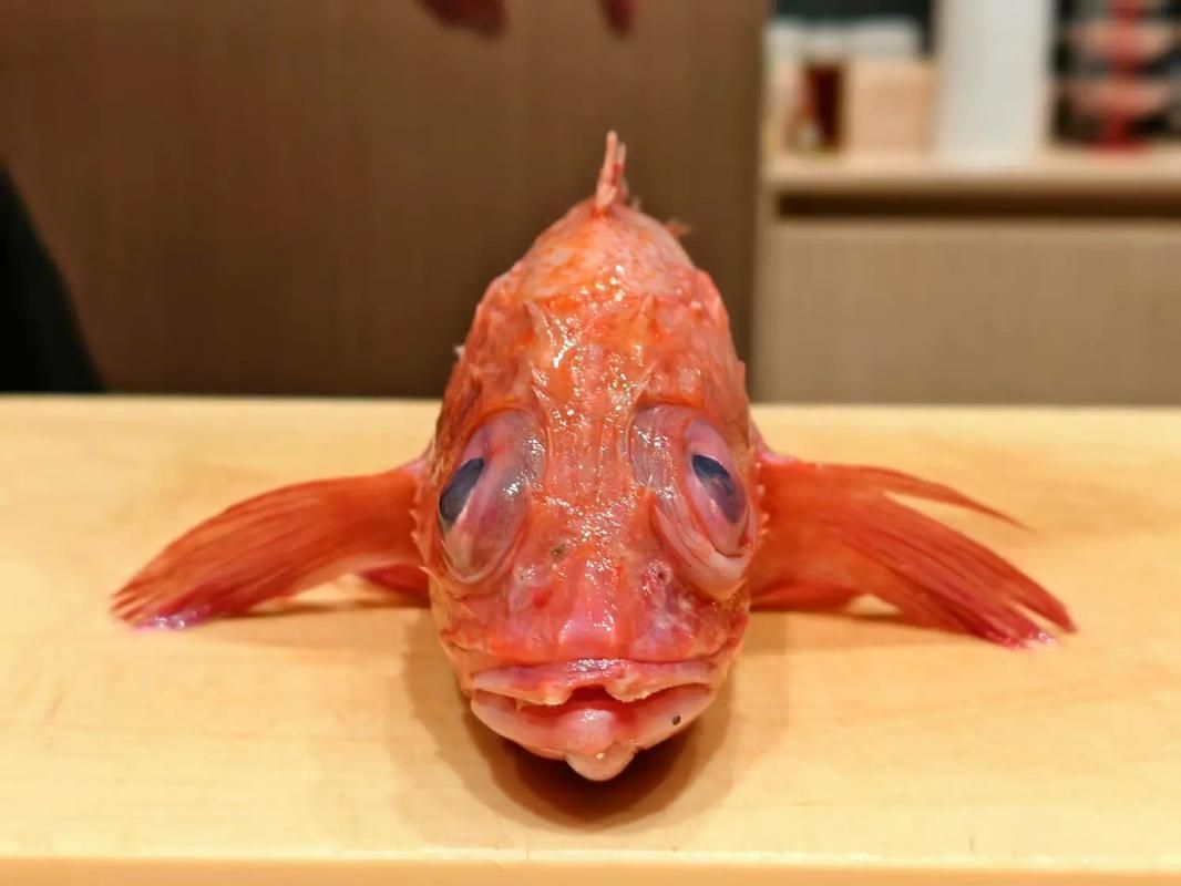 請提供日本十大名魚的詳細圖解，日本十大名魚