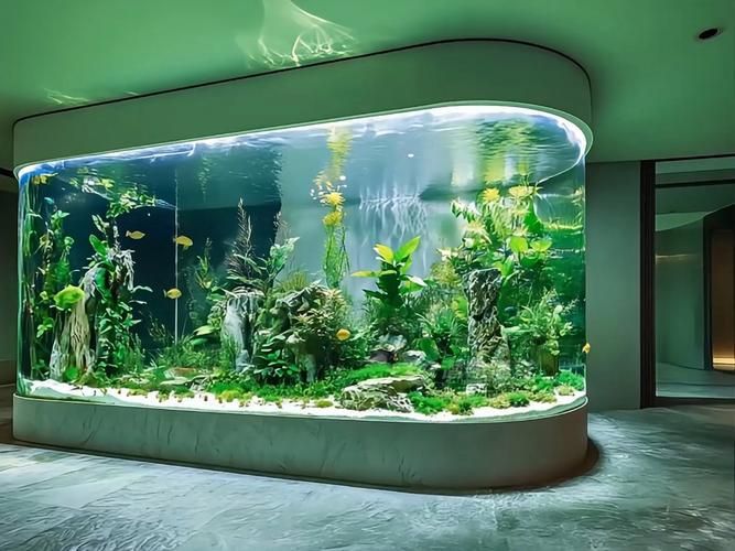 家庭水族箱布置技巧，家庭水族箱布置技巧詳解