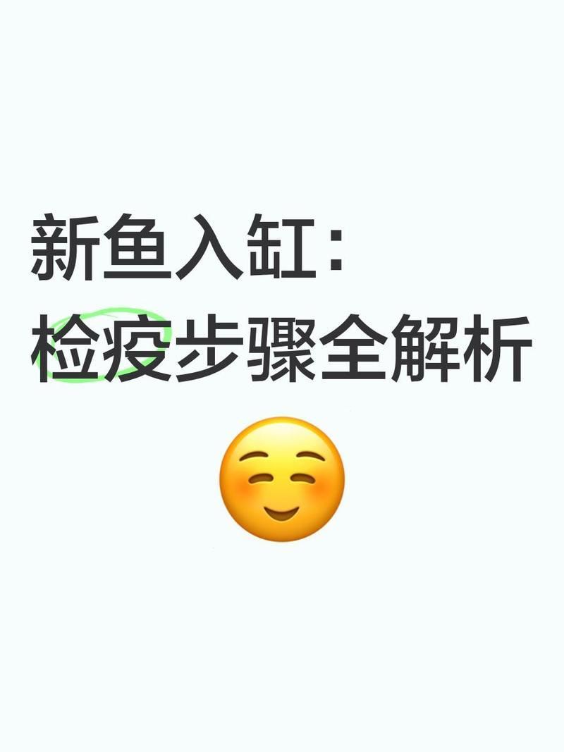 如何建立魚缸檢疫流程，新魚入缸前的檢疫流程全解析 如何建立魚缸檢疫流程，新魚入缸前的檢疫流程全解析 龍魚百科 第2張