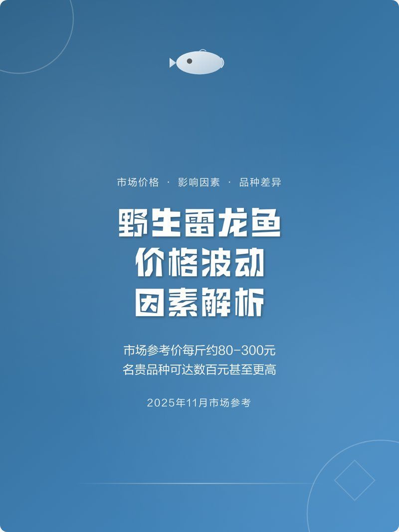 彩虹雷龍魚的價格是多少，彩虹雷龍魚價格波動因素解析 彩虹雷龍魚的價格是多少，彩虹雷龍魚價格波動因素解析 龍魚百科 第5張