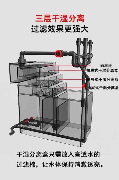 給我一些預(yù)防金魚爛尾的實(shí)用技巧，如何預(yù)防金魚爛尾