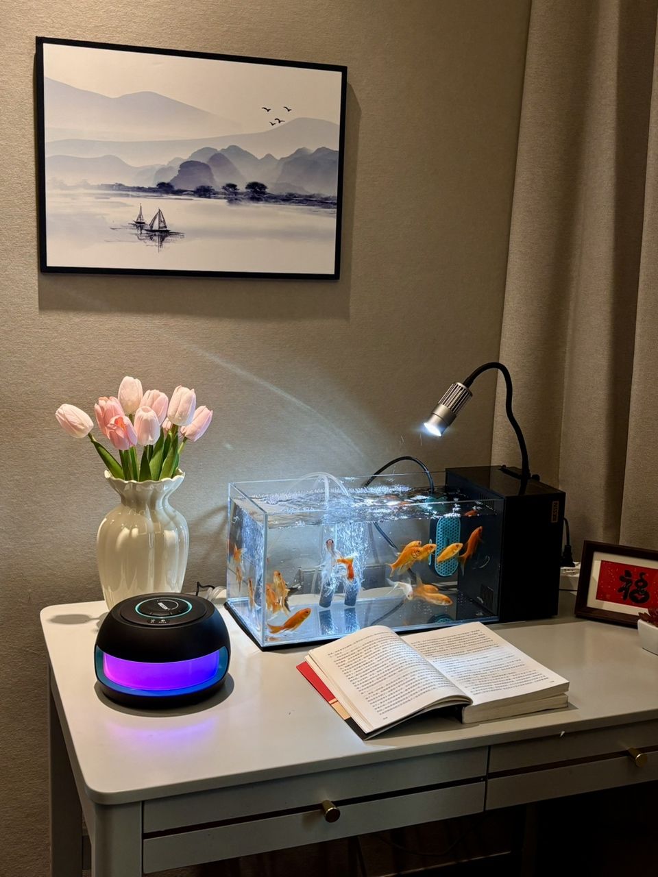 今日魚缸記錄分享，今日魚缸記錄分享，在今天的魚缸觀察中發(fā)現(xiàn)一些有趣的現(xiàn)象