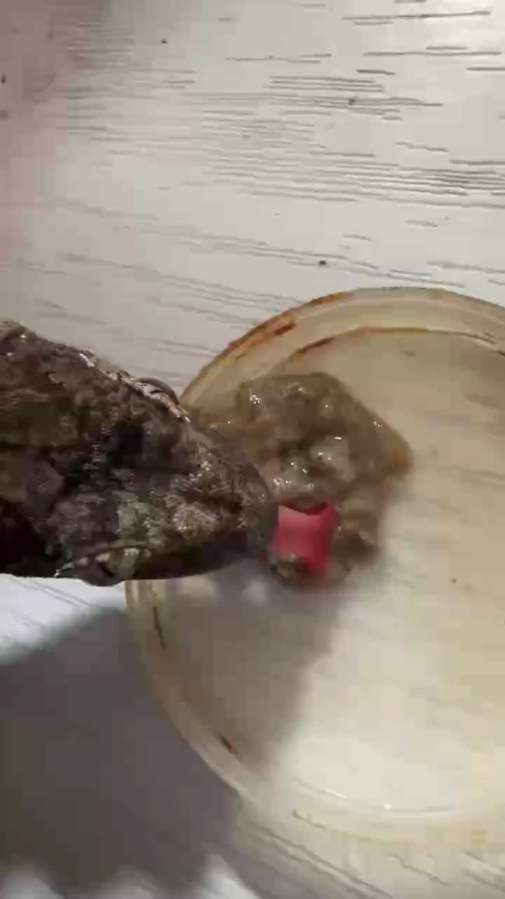 不錯，——數字藝術在當代文化中的重要作用