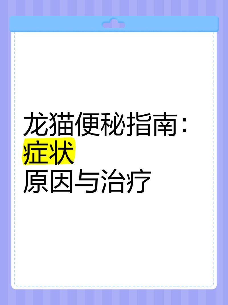 龍貓消化系統(tǒng)異常有哪些原因，寵物喂養(yǎng)指南針，龍貓消化系統(tǒng)異常有哪些癥狀？