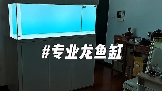 龍魚寵物魚需要多大的魚缸？，養龍魚需要多大的魚缸？
