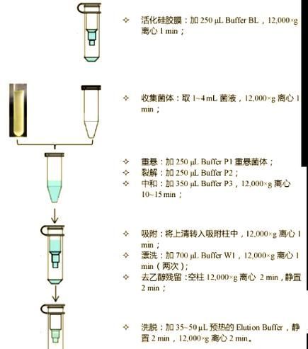 如何判斷土霉素是否有效，土霉素有效性判斷