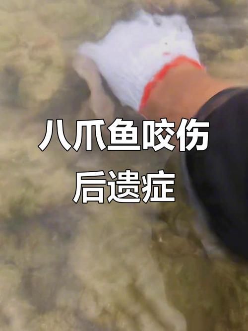 如何判斷魚是否咬傷其他魚，arxiv論文助手arxiv論文助手判斷魚是否被咬傷 如何判斷魚是否咬傷其他魚，arxiv論文助手arxiv論文助手判斷魚是否被咬傷 龍魚百科 第3張