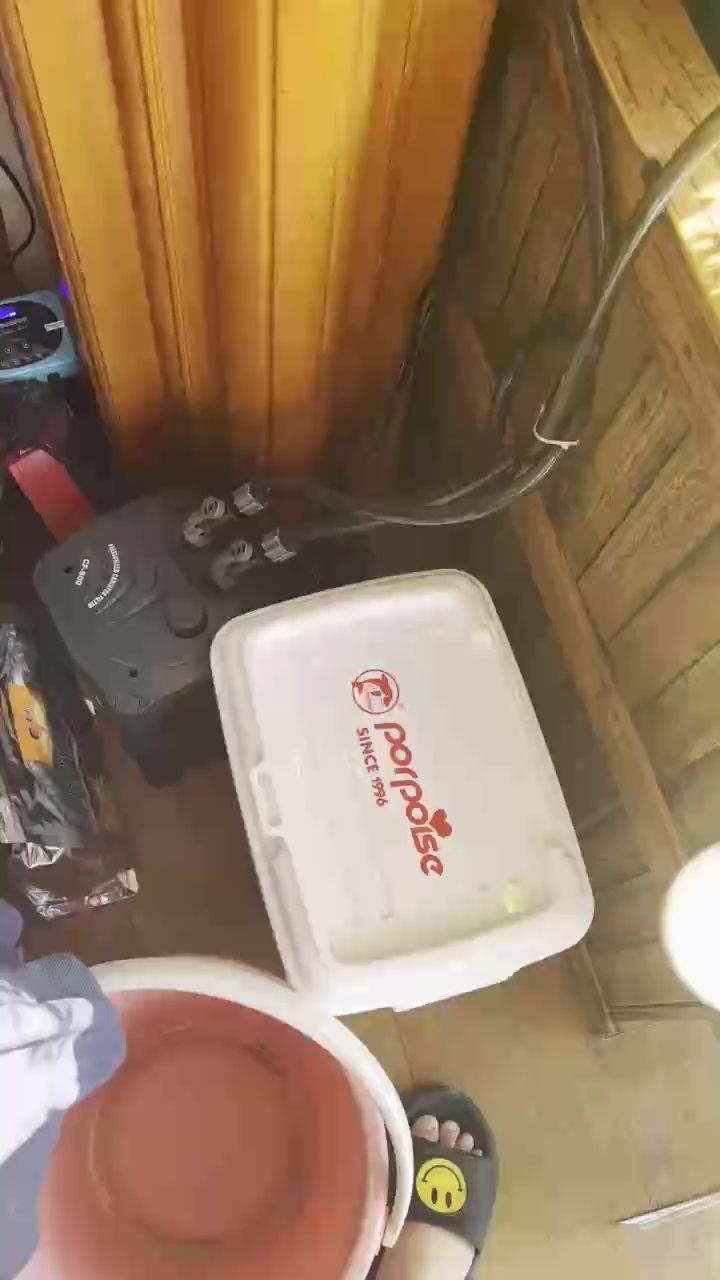 晨喂，晨喂的重要性