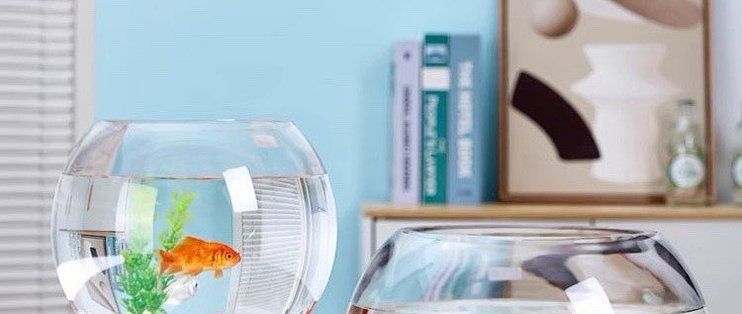 如何設置淡水水族箱，新手水族缸開缸全流程實拍 如何設置淡水水族箱，新手水族缸開缸全流程實拍 龍魚百科 第8張