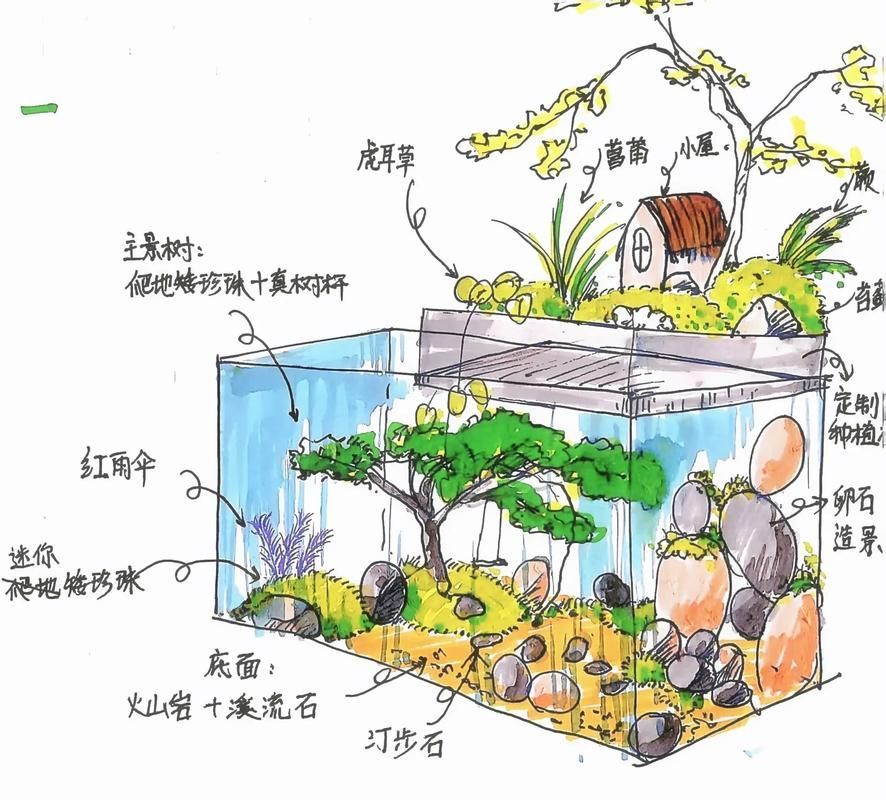如何設置淡水水族箱，新手水族缸開缸全流程實拍 如何設置淡水水族箱，新手水族缸開缸全流程實拍 龍魚百科 第6張