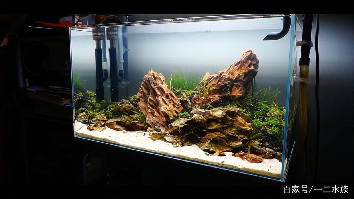 如何設置淡水水族箱，新手水族缸開缸全流程實拍 如何設置淡水水族箱，新手水族缸開缸全流程實拍 龍魚百科 第9張