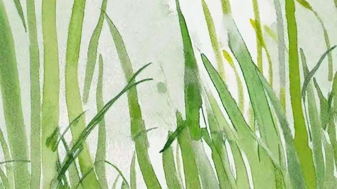能否提供更多中草藥制劑