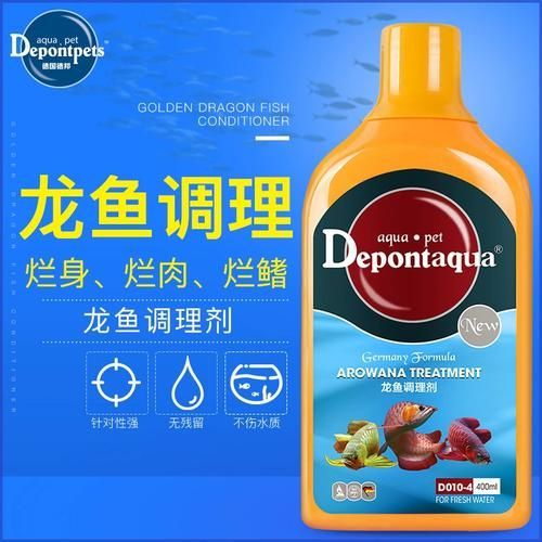 龍魚爛鰓最簡單三個步驟，龍魚爛鰓三步治療方法