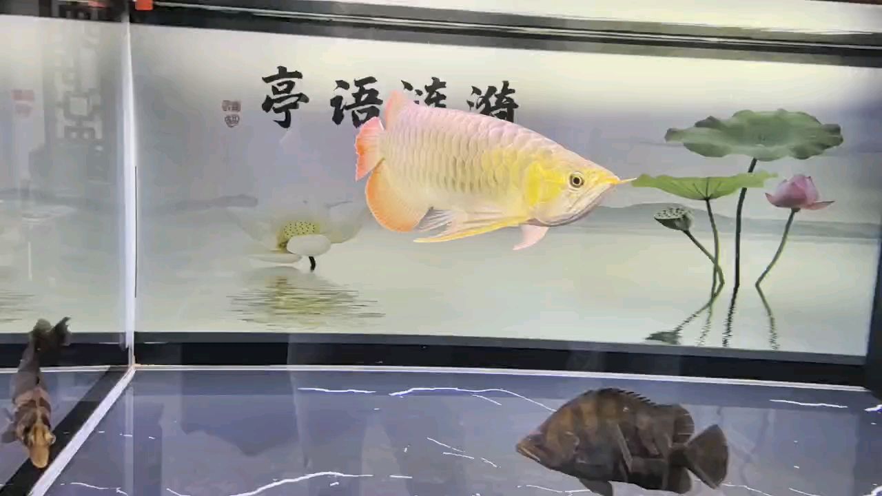堅持愛好，堅持愛好對個人發(fā)展的重要性與實踐策略