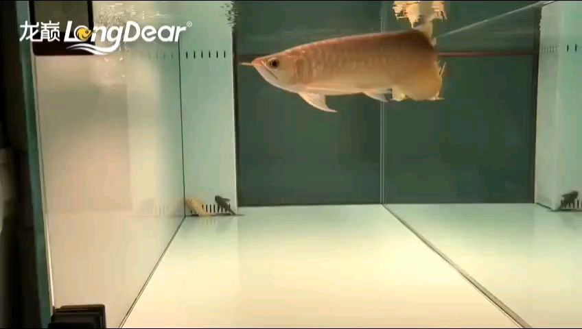 轉發974，“轉發974”的深層含義