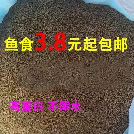 有哪些優(yōu)質(zhì)金魚(yú)飼料推薦，有哪些品牌金魚(yú)飼料推薦