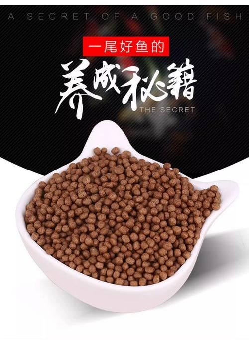 有哪些優(yōu)質(zhì)金魚(yú)飼料推薦，有哪些品牌金魚(yú)飼料推薦