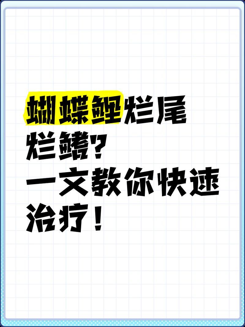 魚爛鰭爛尾期間需要喂食嗎，金魚爛鰭爛尾怎么辦