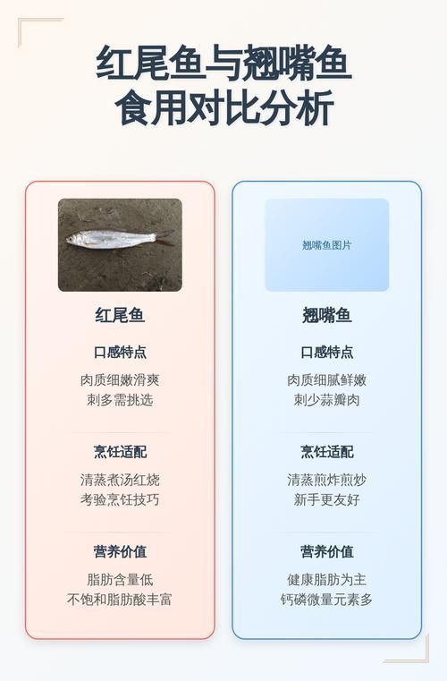 紅尾魚貴還是翹嘴魚貴，紅尾魚和翹嘴魚哪個更有營養紅尾魚和翹嘴魚哪個更有營養