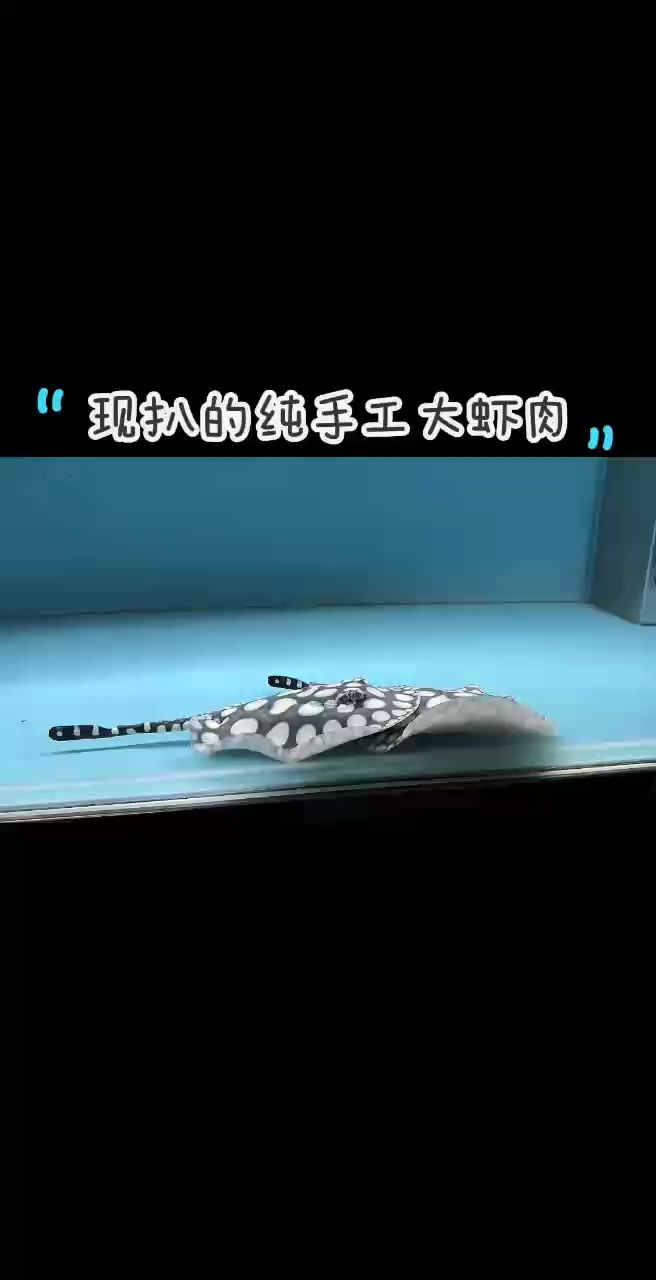 魚缸過濾器選購(gòu)指南:自制魚缸過濾器魚缸上置過濾器對(duì)于養(yǎng)魚愛好者的必備知識(shí) 很多魚友會(huì)問魚兒日常喂什么,正常這個(gè)尺寸的魚兒,我們會(huì)以蝦肉為主,定期搭配泥鰍混合喂養(yǎng),魚兒喂養(yǎng)指南 龍魚論壇 很多魚友會(huì)問魚兒日常喂什么,正常這個(gè)尺寸的魚兒,我們會(huì)以蝦肉為主,定期搭配泥鰍混合喂養(yǎng),魚兒喂養(yǎng)指南 很多魚友會(huì)問魚兒日常喂什么,正常這個(gè)尺寸的魚兒,我們會(huì)以蝦肉為主,定期搭配泥鰍混合喂養(yǎng),魚兒喂養(yǎng)指南 龍魚論壇