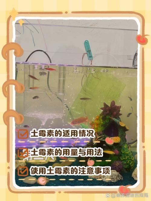 如何治療金魚潰爛，觀賞魚養殖金魚潰爛病治療金魚潰爛病治療詳解（arxiv論文助手）