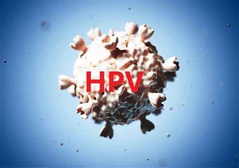 HPV感染龍魚后還能活多久？，“hpv感染龍魚后還能活多久”是沒有科學依據的