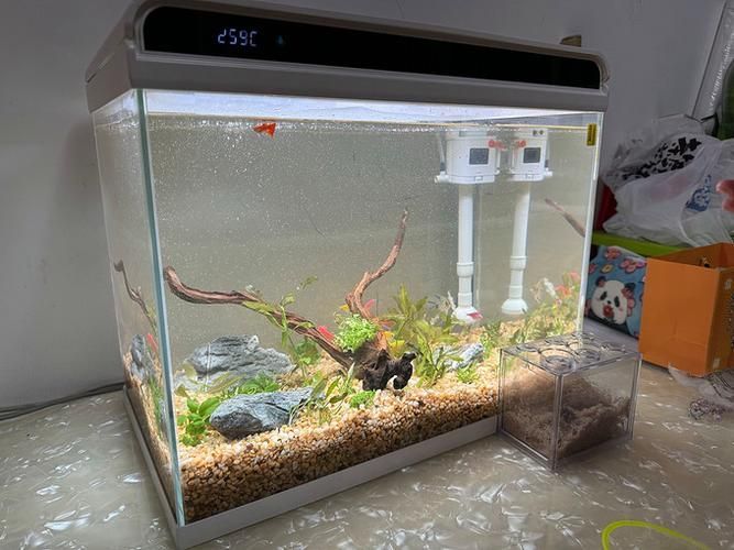 給我推薦幾款適合養龍魚的魚缸，適合養龍魚的幾款魚缸推薦