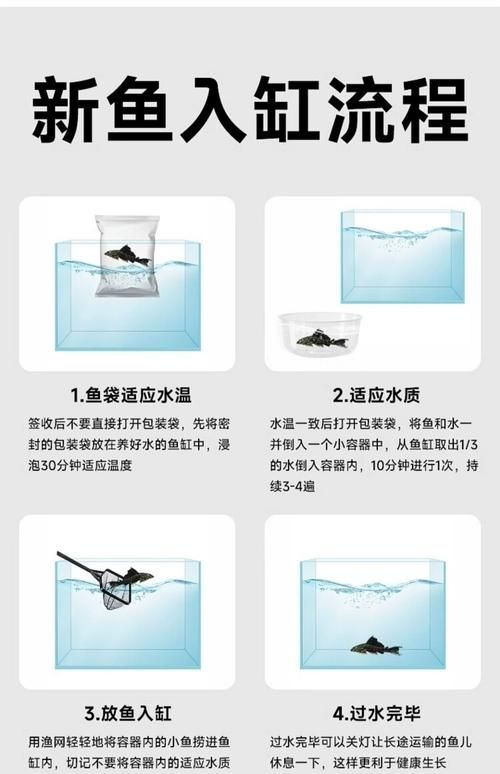 海林龍魚的售后服務怎么樣？，關于海林龍魚的售后服務 海林龍魚的售后服務怎么樣？，關于海林龍魚的售后服務 龍魚百科 第1張