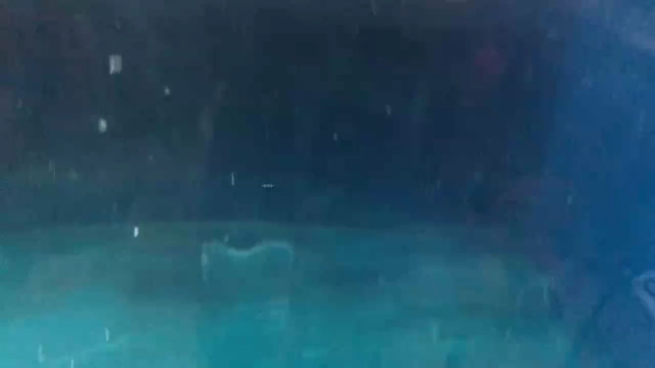 靜靜看看魚，靜靜看看魚，本文探討了在靜謐的環(huán)境中觀賞魚類的美學(xué)價值及其對個人情緒的影響
