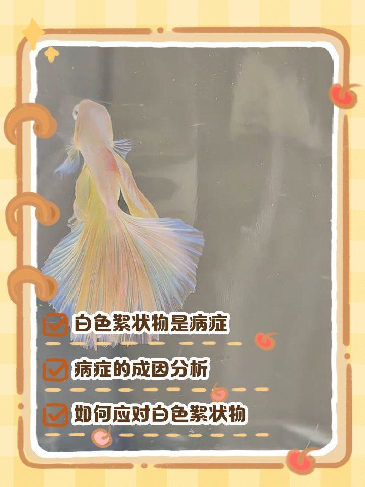 如何判斷魚是否感染真菌或細(xì)菌，———氨氮、亞硝酸鹽感染真菌感染