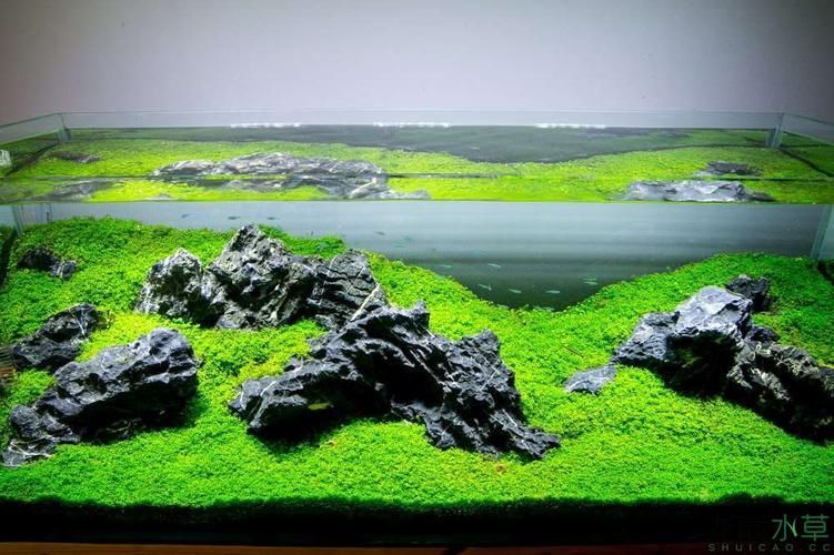 能否提供一張更詳細的造景圖，--如何獲取高清的造景參考圖